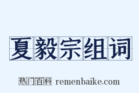 夏毅宗组词是什么意思的图片